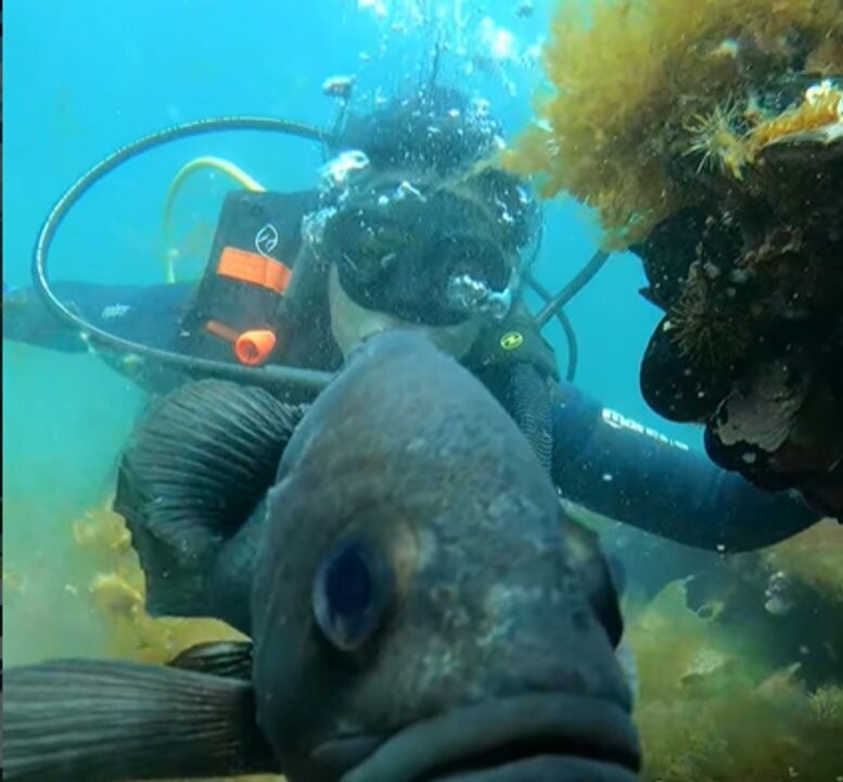 Компания, связанная с исчезновением туристки в Пуэрто-Мадрин, продолжает работать