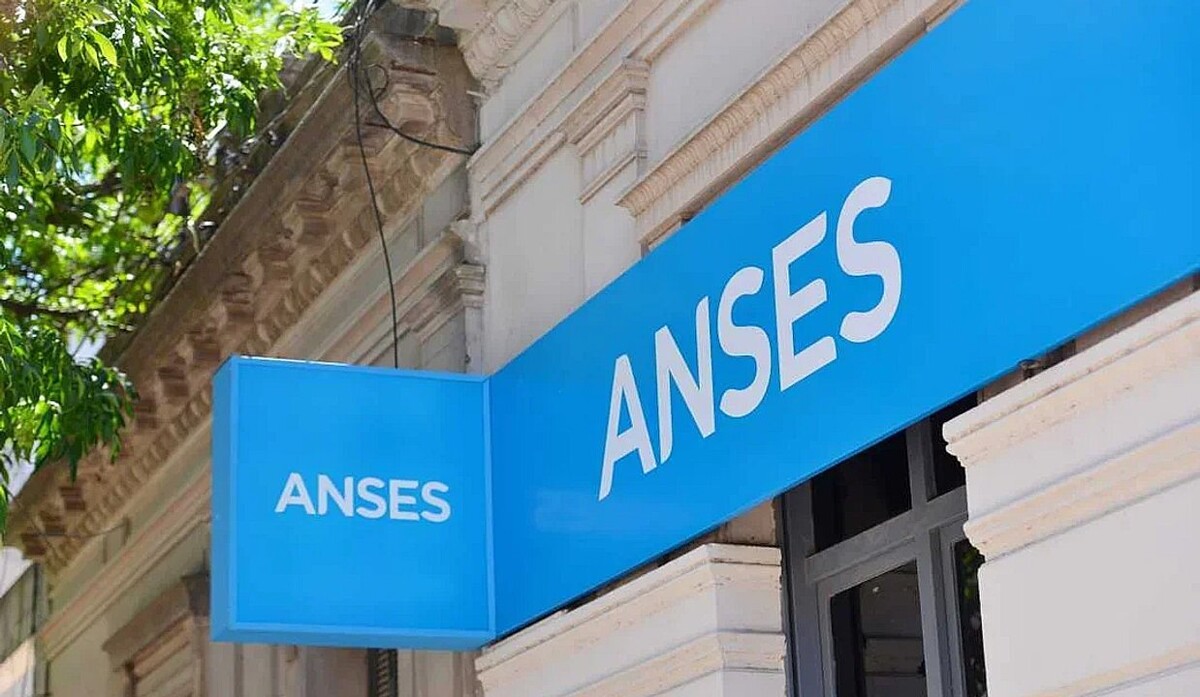 Irregularities in ANSES Subsidies: 283 Beneficiaries at Risk