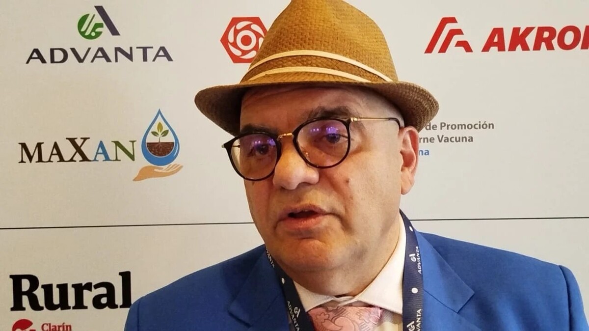 Argentine Economist Predicts Economic Stabilization in 2026