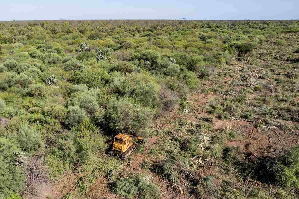 Контроверзиальное утверждение нового плана зонирования лесов в Чако