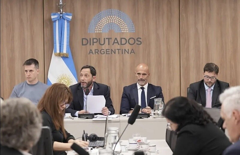 Комиссия по Libra пришла к выводу, что Милеи сыграл ключевую роль в совершении мошенничества