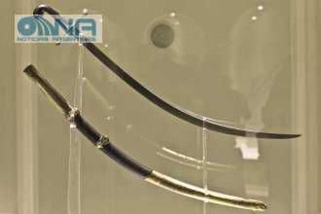 Аргентина перенесет саблю Корво в военный музей