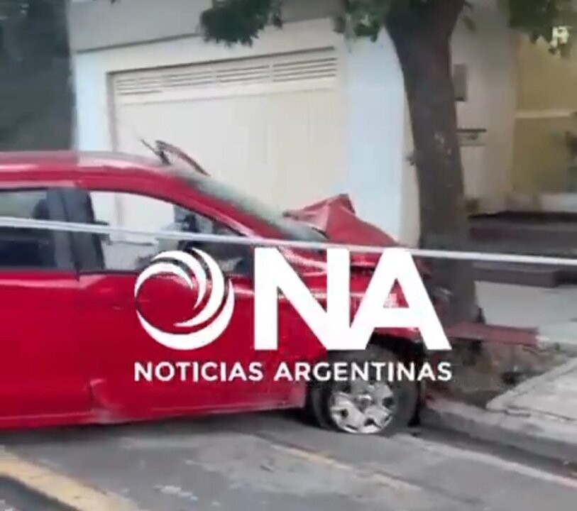 布宜诺斯艾利斯司机撞树