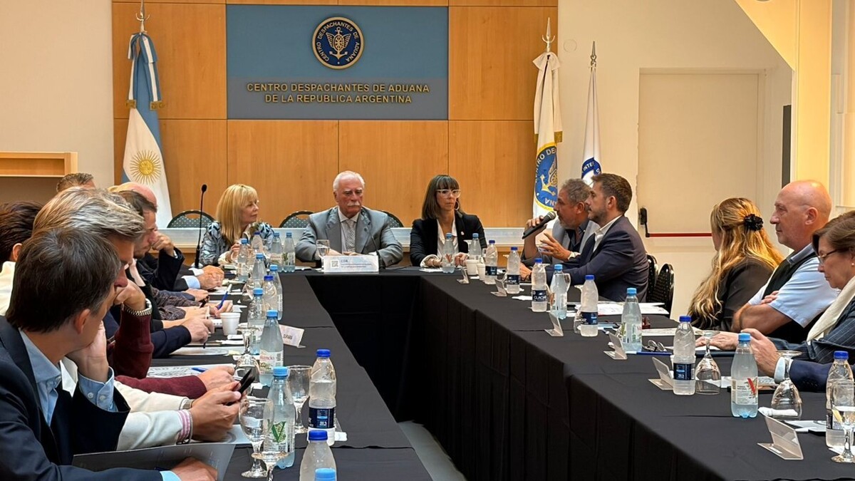 Аргентинские таможенные декларанты обсуждают будущее внешней торговли