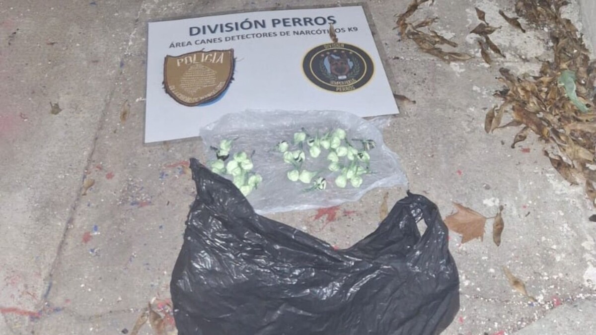 Правосудие Буэнос-Айреса закрыло отель после операции по борьбе с кокаином