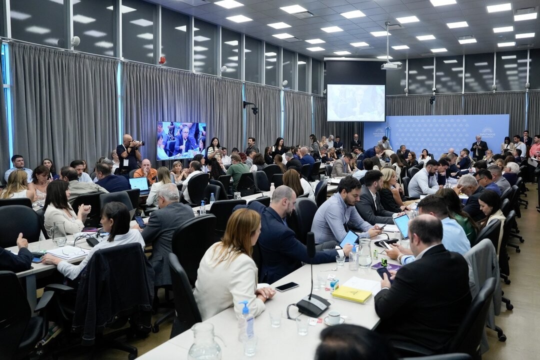 Argentine Government Prepares for Key Economic Bills Vote