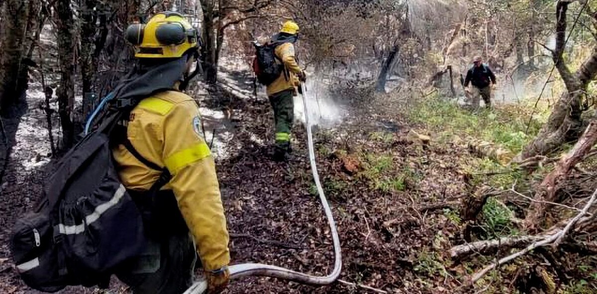 La Justicia argentina investiga incendios intencionales en el parque nacional
