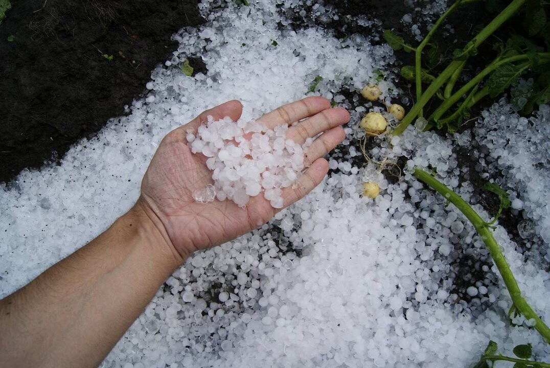 Severe Storm Hits Bahía Blanca Causing Damage