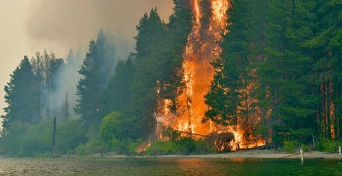 Argentina declara la catástrofe por los incendios en la Patagonia