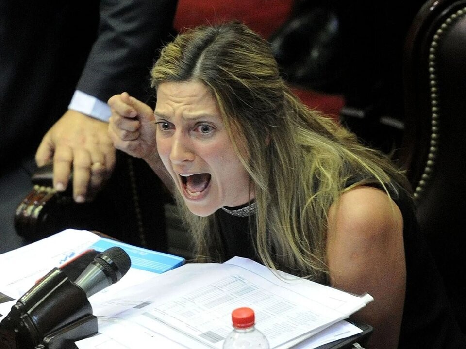 Спорные политические дискуссии в Конгрессе Аргентины