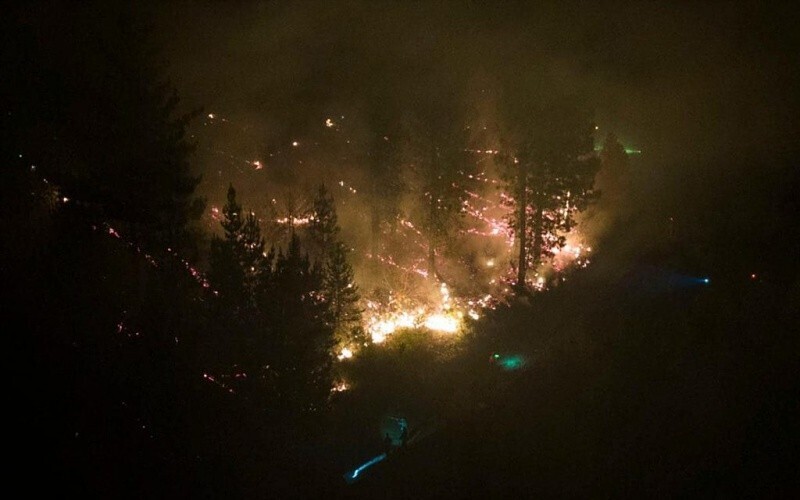 Mass Protest in Buenos Aires for Patagonia's Forests