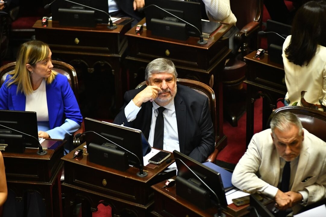 Майанс критикует бюджет 2026