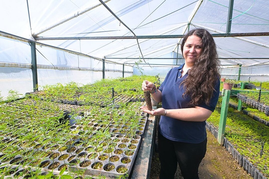 Кордова стала первой провинцией Аргентины с обязательным экологическим стандартом для фермеров