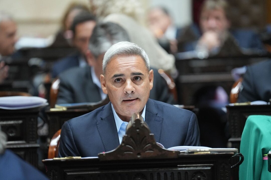 Argentine Deputy Supports Lowering Age of Criminal Responsibility