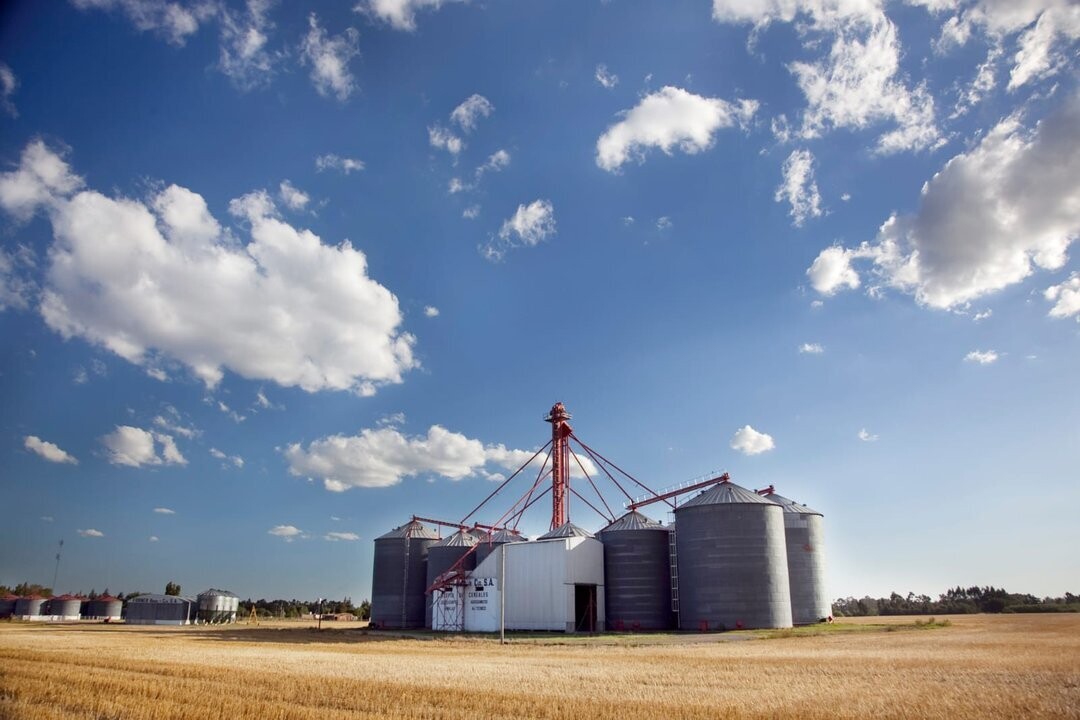 Argentina establece un nuevo récord en exportaciones agroindustriales