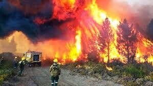 Argentina Allocates 100 Billion Pesos to Fight Patagonia Fires
