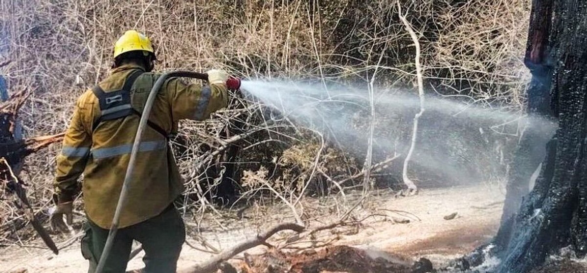 Fires in Chubut Brought Under Control