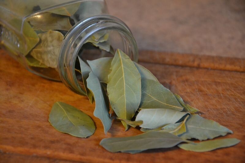 Laurel Ritual to Attract Prosperity