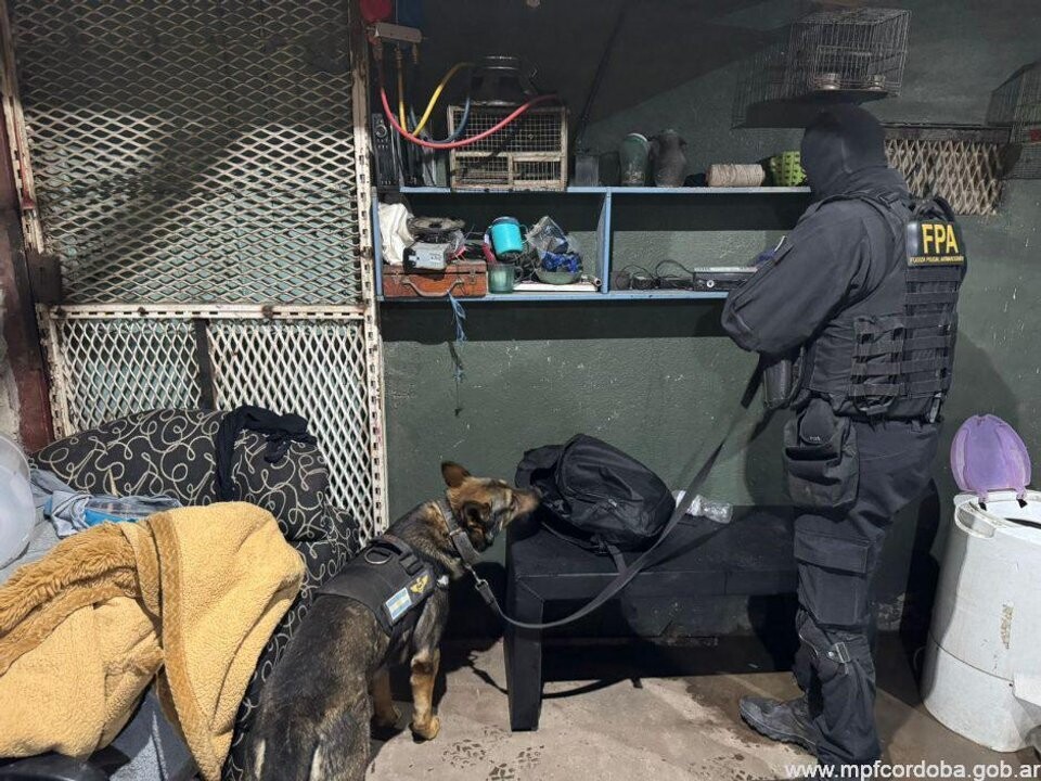 19 Members of Drug Gang Arrested in Córdoba Province