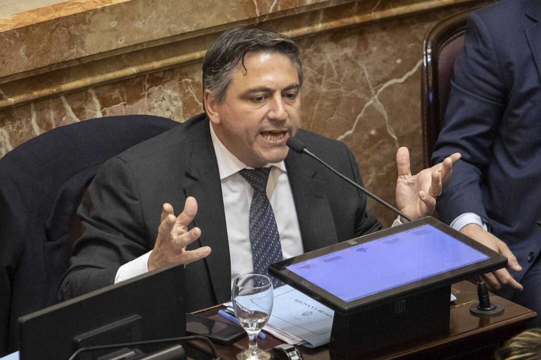 保洛特罗尼参议员谈阿根廷政治局势