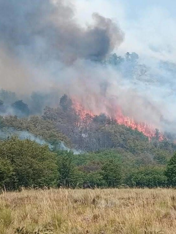 Major Wildfire Threatens Mapuche Communities in Neuquén