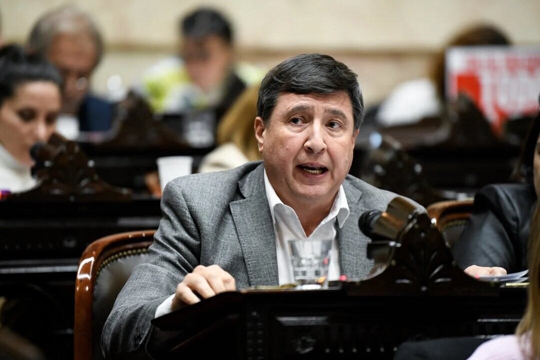 Депутат обвинил ANDIS в коллапсе системы пособий для людей с инвалидностью