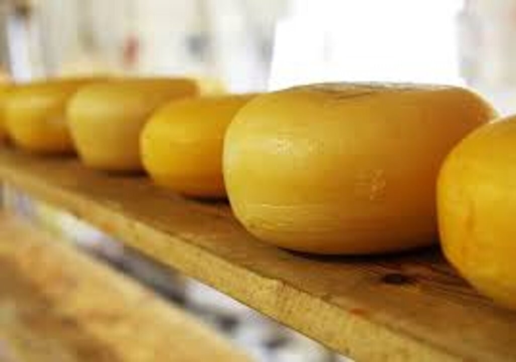 Argentina Applies for Registration of 'Tafí del Valle Cheese' Geographical Indication