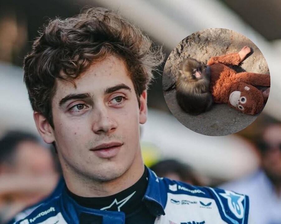 Argentine driver Colapinto mentions viral monkey Punch