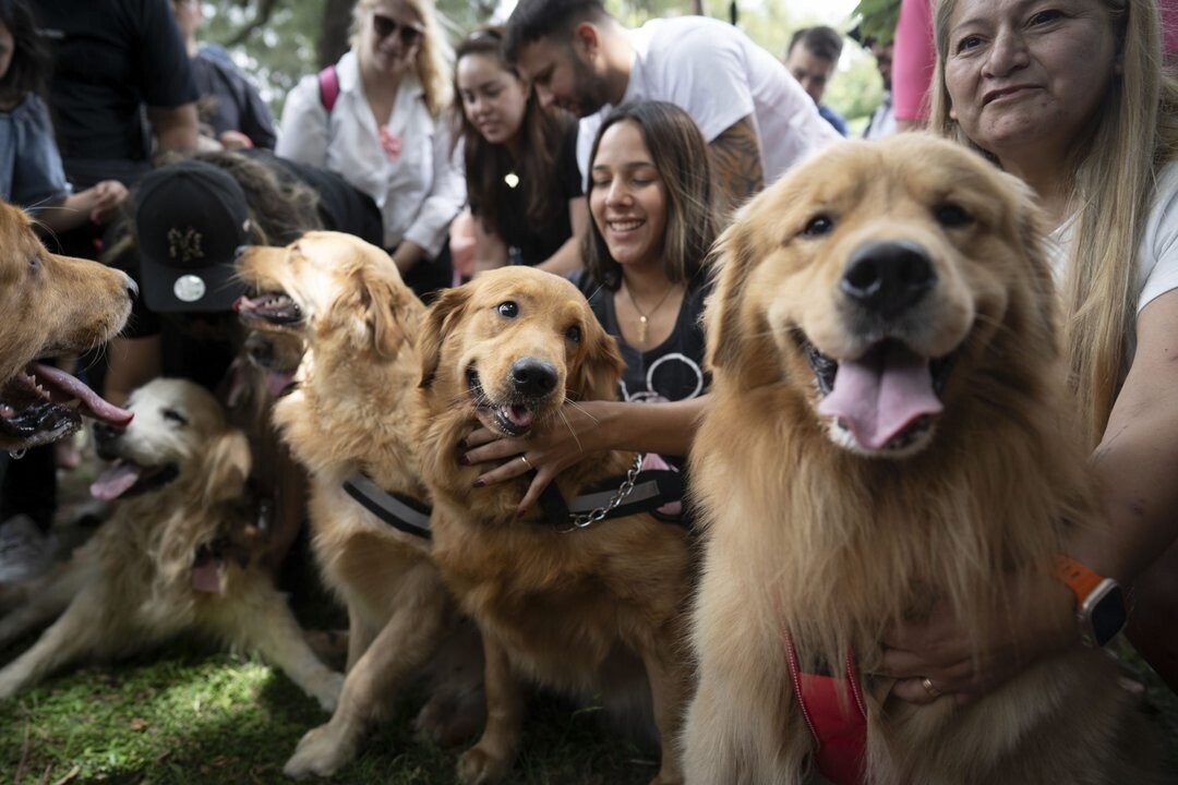 萨尔塔男子因虐待动物被判刑