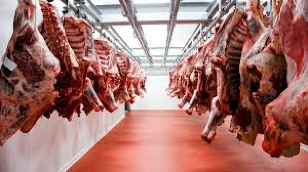 Argentina's Meat Promotion Faces Structural Challenges