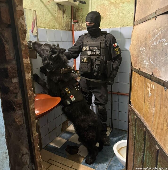 В Сан-Франсиско арестовали наркоторговцев