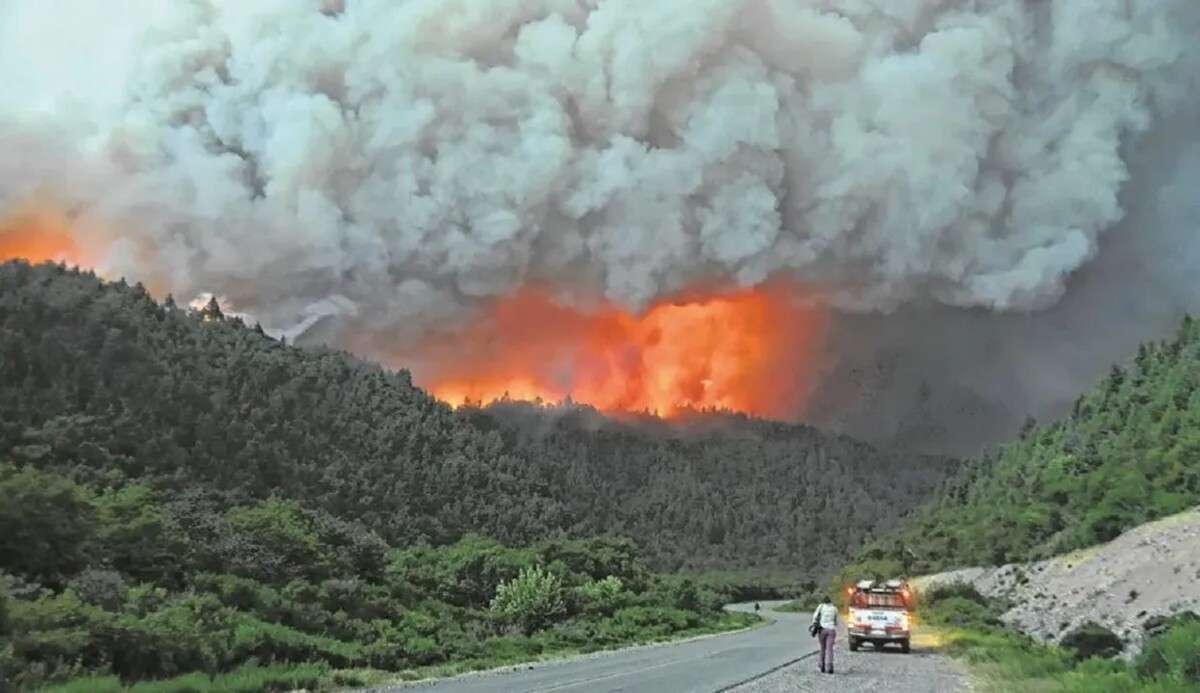 Intentional Fires in Mallín Ahogado: Call for Justice