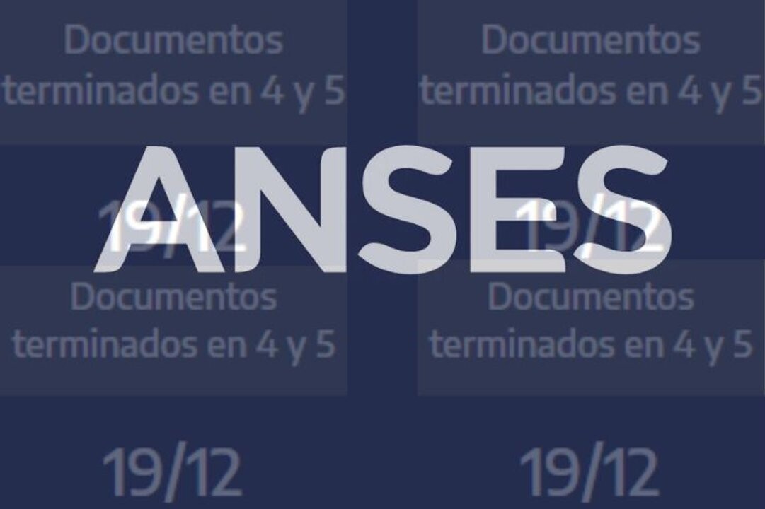 ANSES: График выплат пенсий и пособий на 19 декабря в Аргентине