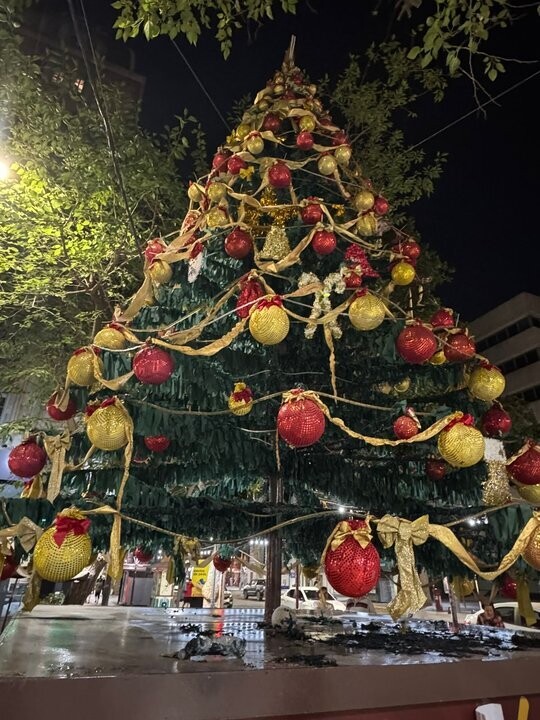 Man Arrested for Setting Fire to Christmas Tree in Mendoza