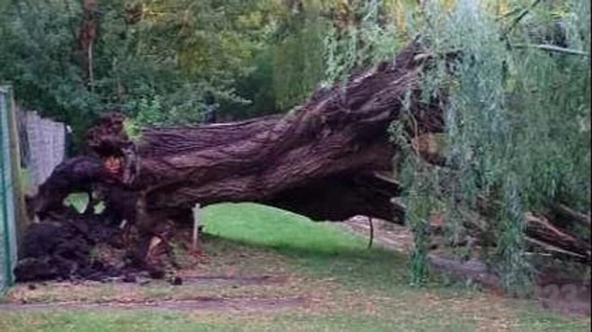 Storm in Mar del Plata: Mass Evacuation from Beaches