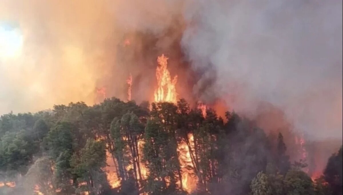 Wildfire in Nahuel Huapi National Park