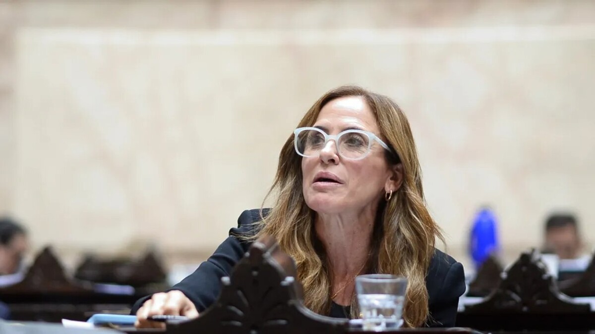 Депутат Аргентины призывает создать широкую политическую альтернативу правительству Милеи