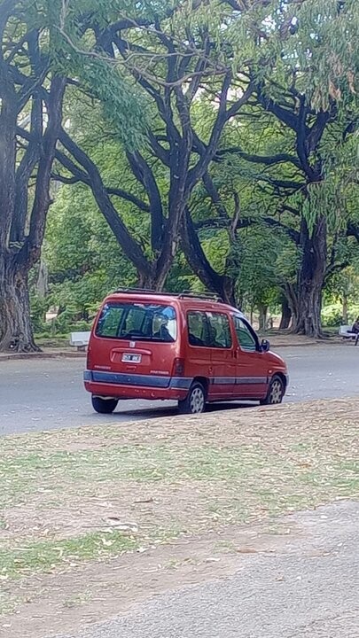 Argentina Police Search for Man for Public Masturbation