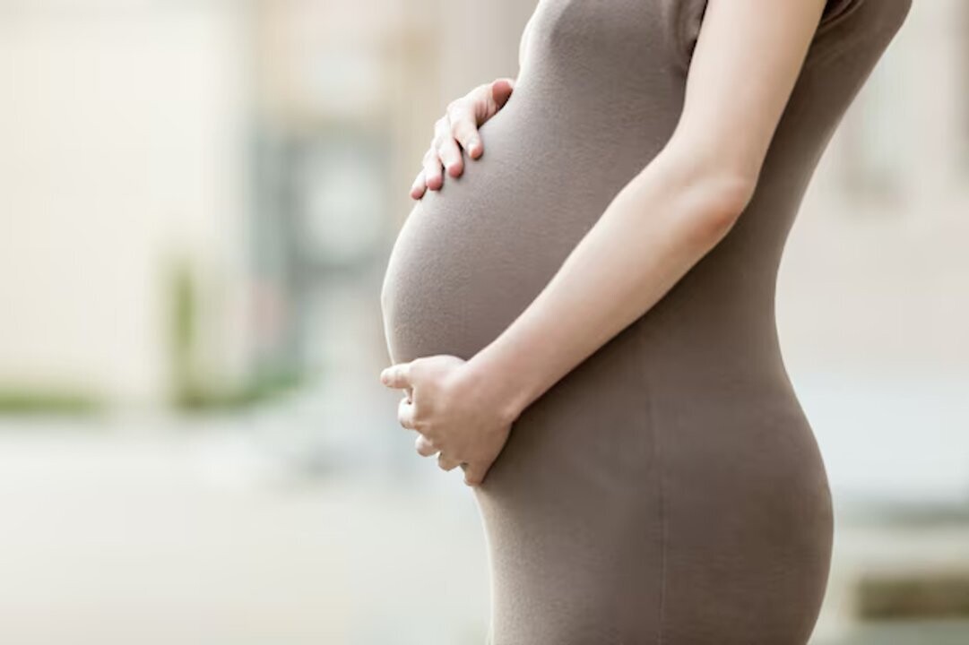 ANSES publishes payment schedule for December 2025 Pregnancy Allowance