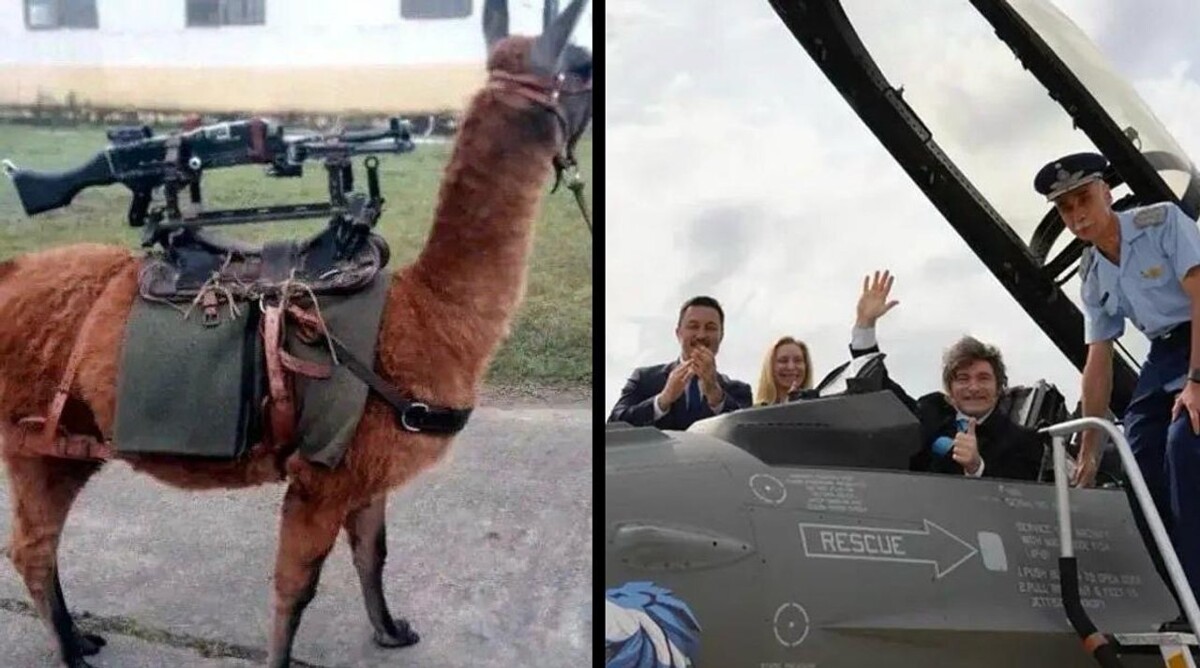 Santilli sparks debate by comparing 'llama machine guns' to F-16s