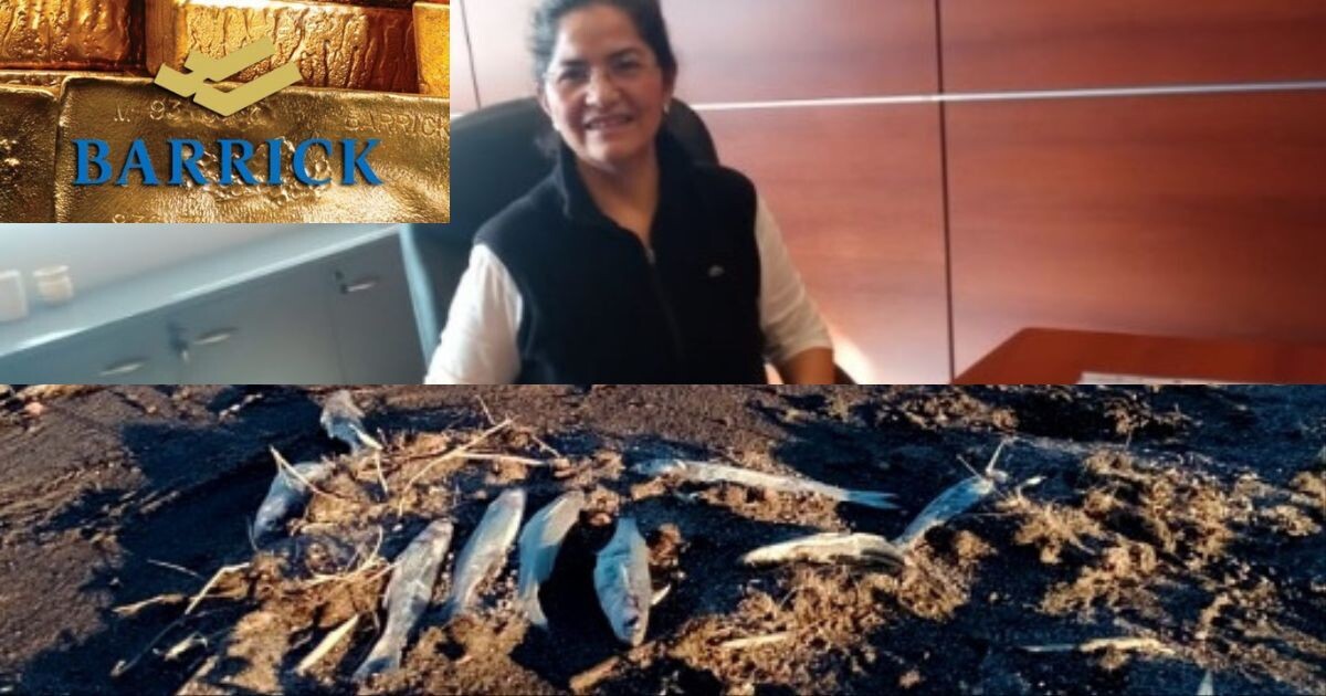 Assembly Accuses CIPCAMI Director of Concealing Evidence of Contamination from Barrick Gold