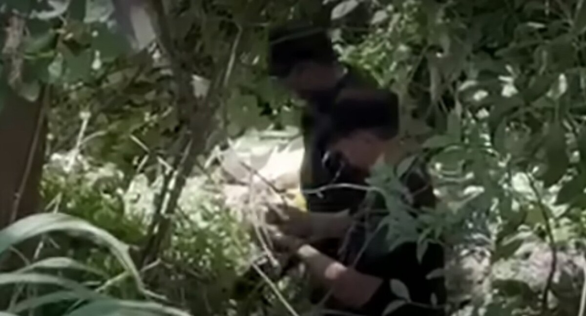 В Кордове обнаружены новые человеческие останки