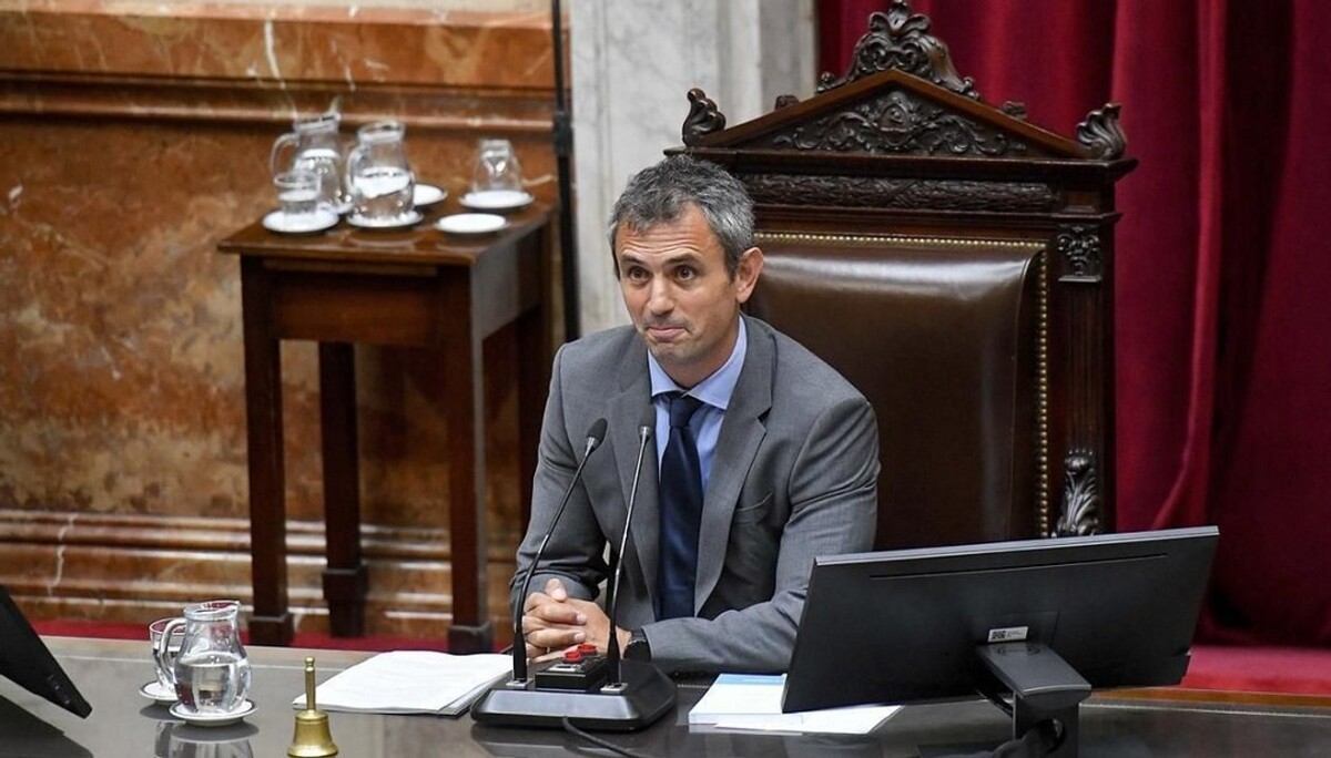 Menem Confirms Lowering of Age of Criminal Responsibility in Argentina