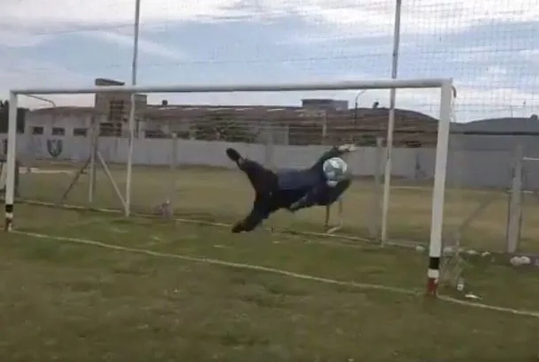 Milei publica un video por el “Día del arquero”