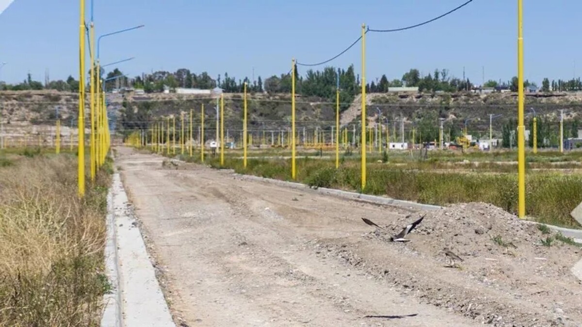 Мужчина задержан за попытку убийства матери в провинции Неукен