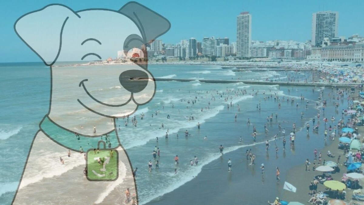 Счёт DNI предлагает выгоды для семей в летний сезон