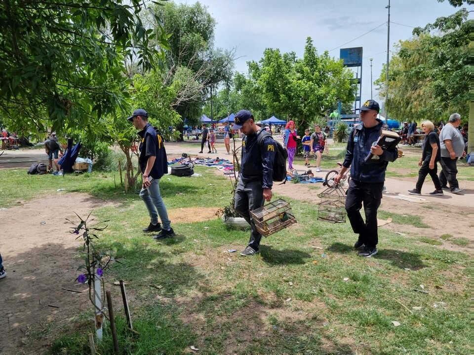 Mega-operation against illegal drug sale in Argentina