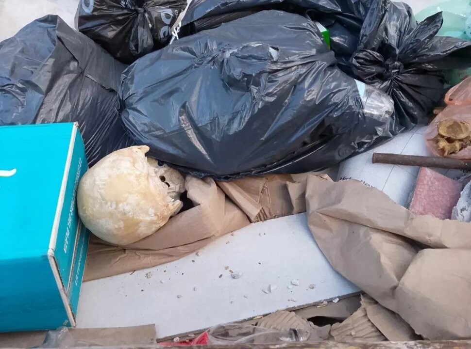 Human Skull Found in Mar del Plata
