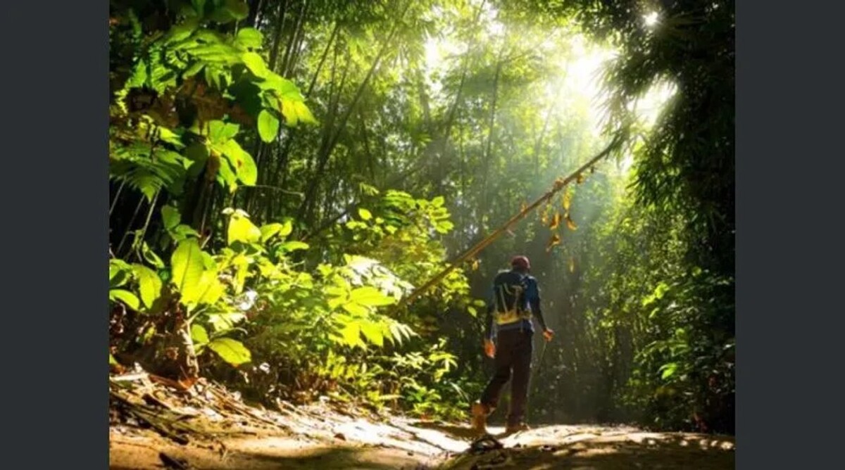 Мировой банк обсудил естественные богатства и экономический потенциал Аргентины