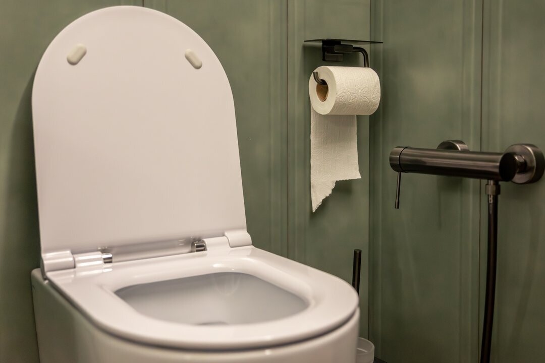 В Аргентине туалетная бумага стала самым продаваемым товаром на Cyber Monday